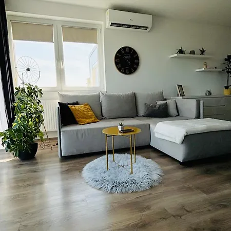 Classy Apartment